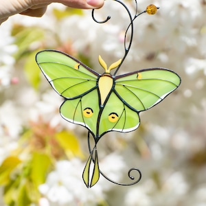 Luna moth stained glass window hangings Best gift for mom Custom stained glass butterfly suncatcher Mothers day gift