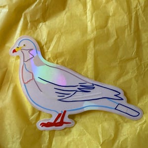 Wood Pigeon Suncatcher Sticker