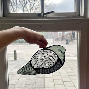 Chonky pigeon suncatcher